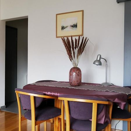 Brand New Place Rovinj Zewnętrze zdjęcie